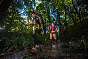 BIB: 
                            <button type="button" onclick="openModal(19229819)" class="btn btn-primary btn-sm float-right btn-popup" data-toggle="modal" data-target=".modal-high-quality">
                        <i class="fas fa-shopping-cart"></i> Add to Cart
                    </button>
                                            <button type="button" onclick="isThisMe(19229819, true)" class="btn btn-success btn-sm float-right btn-popup btn-isme hidden" data-toggle="tooltip" data-placement="bottom" title="นี่คือรูปของคุณใช่ไหม คลิกที่นี่เพื่อเอาเข้าอัลบั้ม">
                        <i class="fas fa-plus"></i> Add to album
                    </button>
                    <button type="button" onclick="isThisMe(19229819, false)" class="btn btn-warning btn-sm float-right btn-popup btn-isnotme hidden">
                        <i class="fas fa-ban"></i> Remove from album
                    </button>